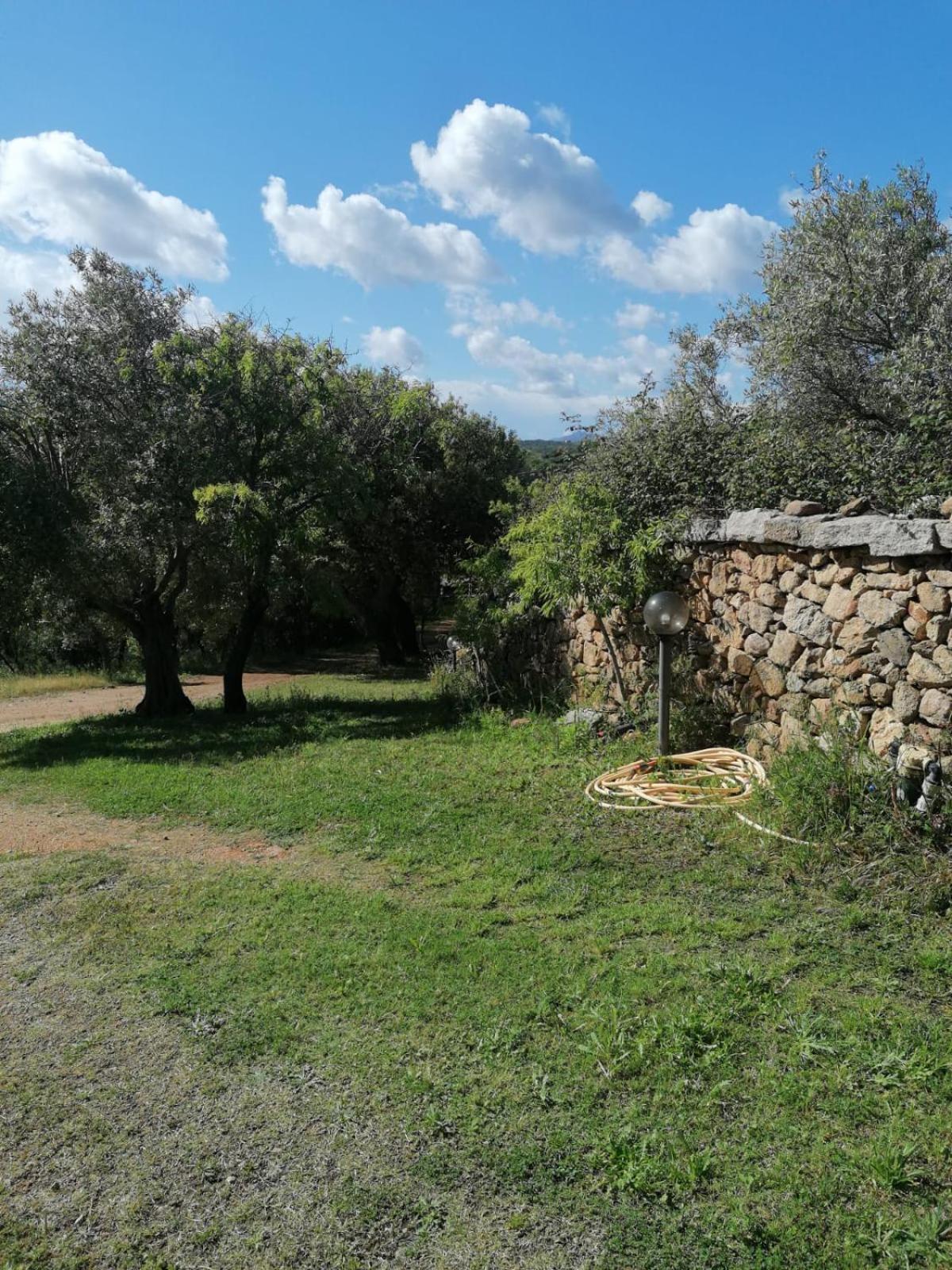 Casa Orecchioni Arzachena Bagian luar foto