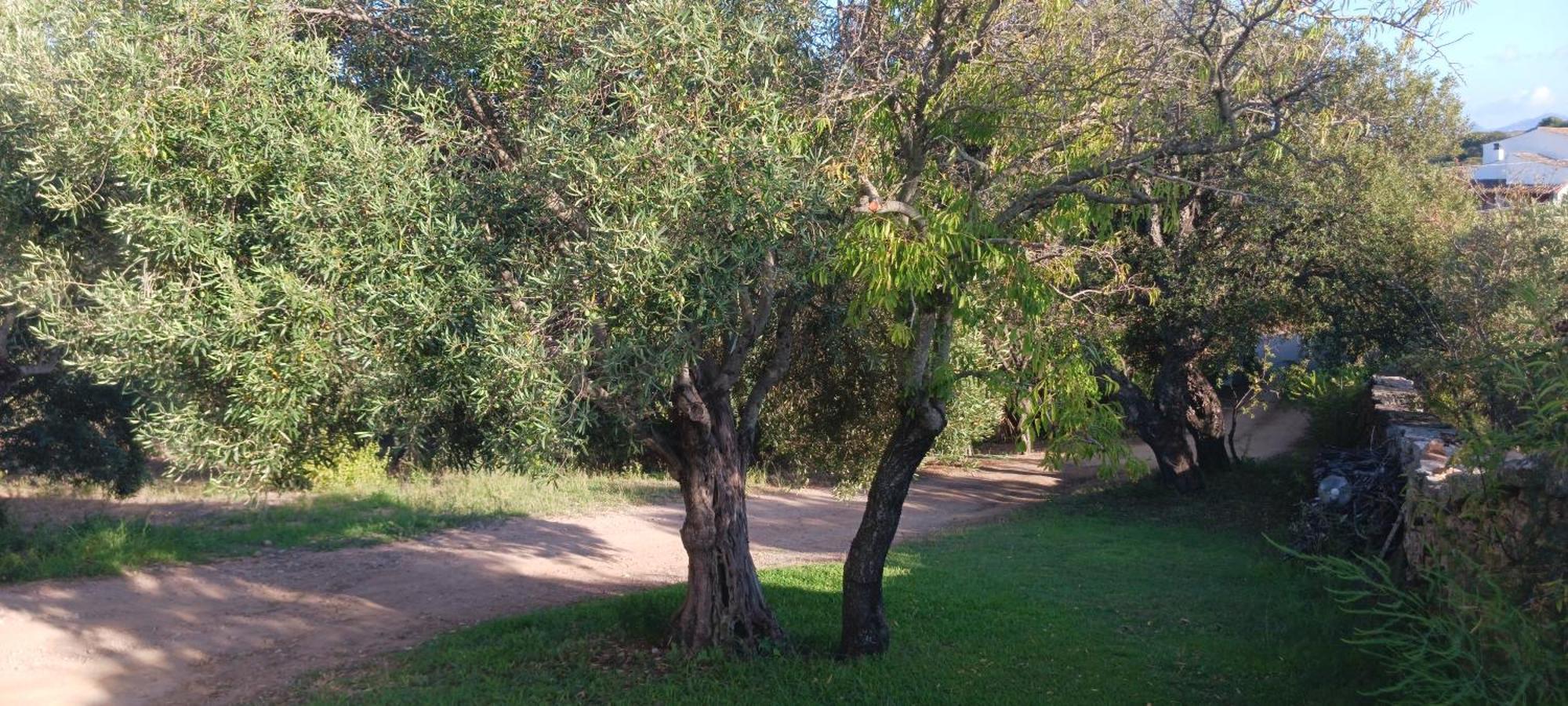 Casa Orecchioni Arzachena Bagian luar foto